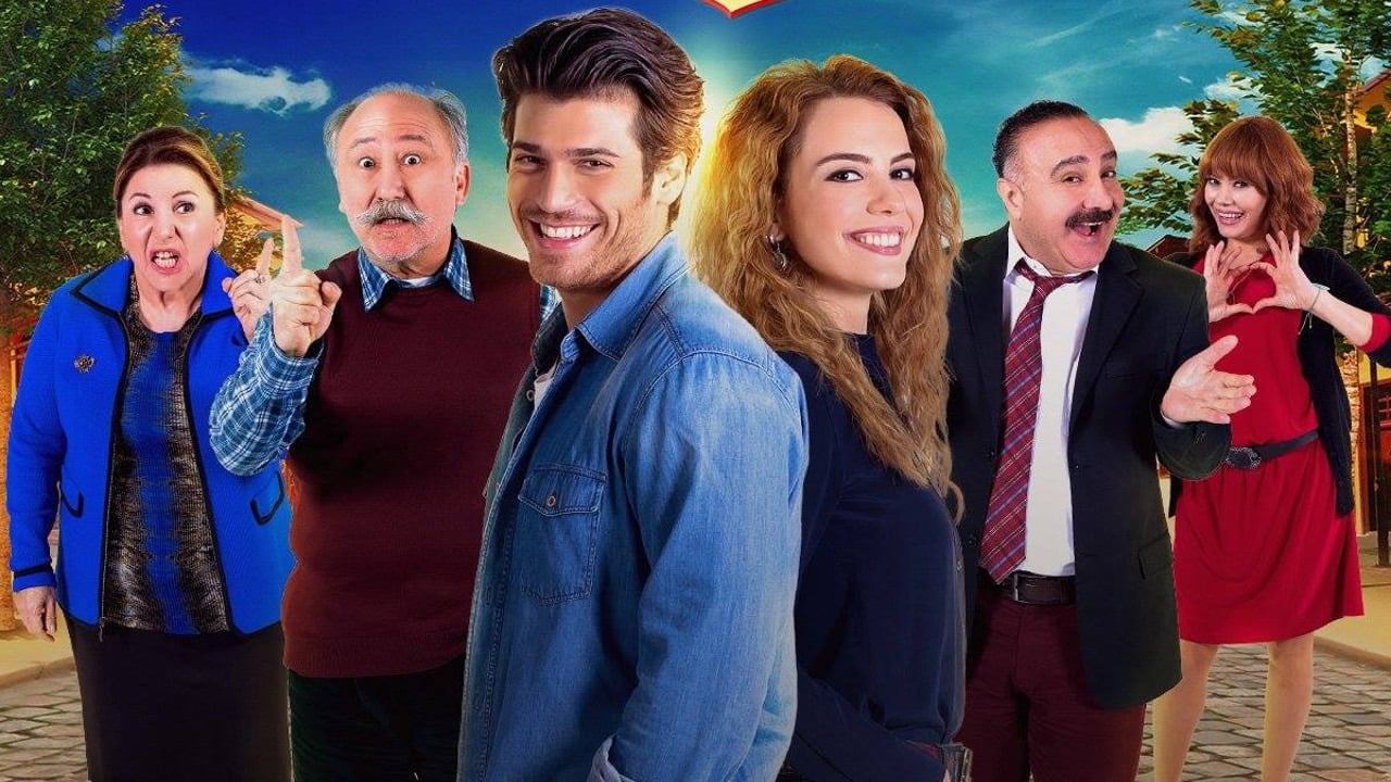 Обложка Кто из нас не любил?