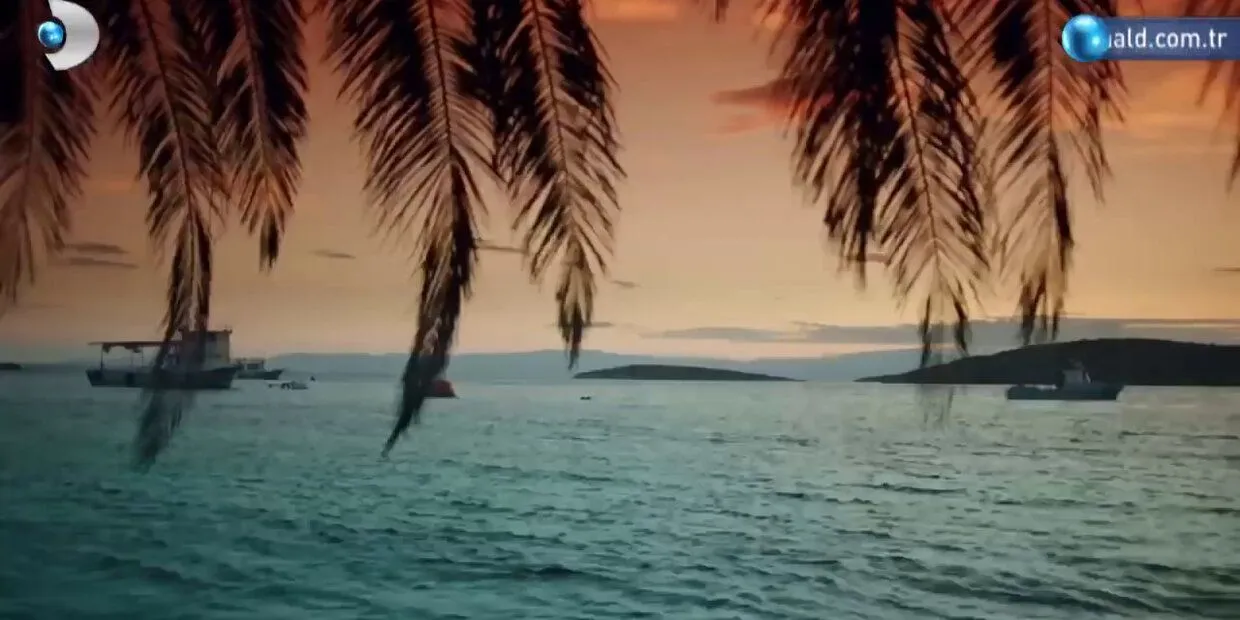 Обложка Мое сердце осталось у Эгейского моря